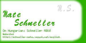 mate schneller business card